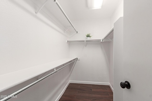 spacious closet with dark wood-type flooring