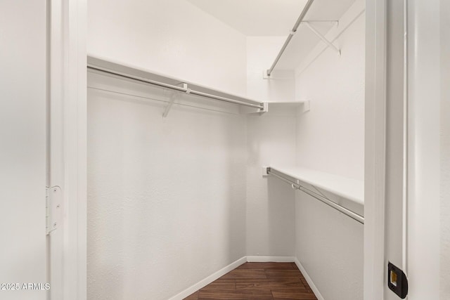 walk in closet with hardwood / wood-style flooring