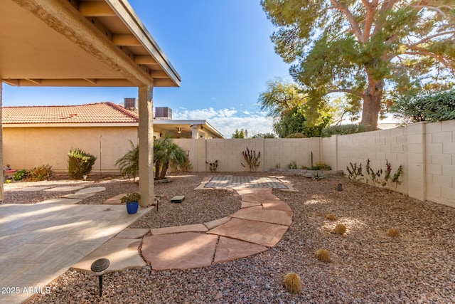 view of yard with a patio area