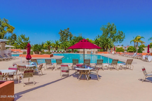 view of pool featuring a patio area