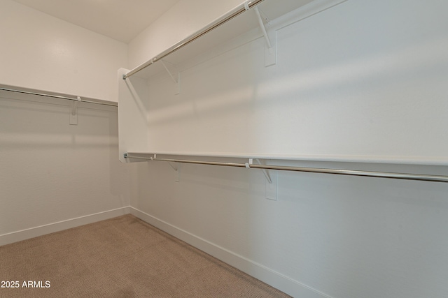 walk in closet with carpet flooring