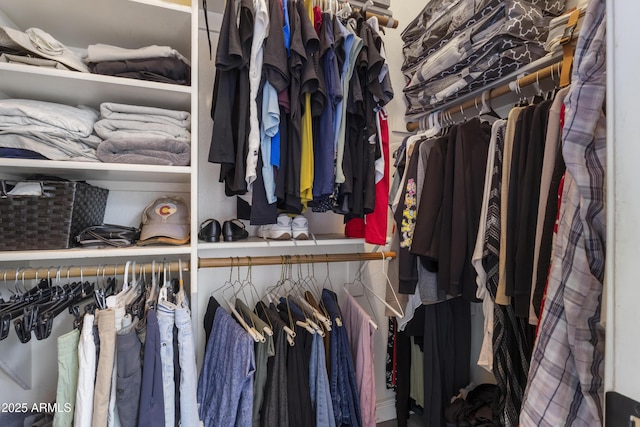 view of spacious closet