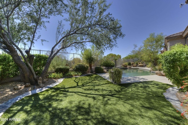 view of yard featuring a patio area, a fenced backyard, and a fenced in pool