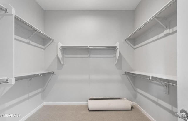 walk in closet featuring light colored carpet