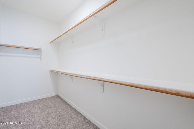 walk in closet with carpet floors