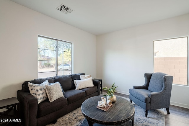 living room with wood-type flooring