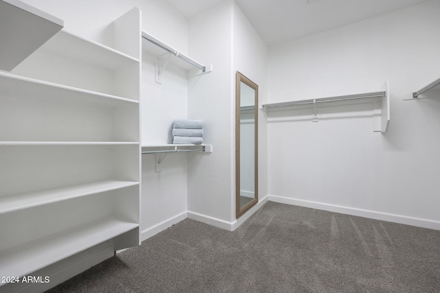 walk in closet featuring carpet floors