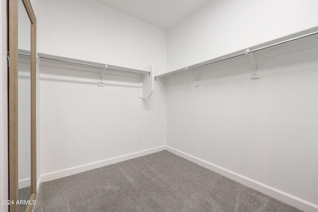 walk in closet featuring carpet