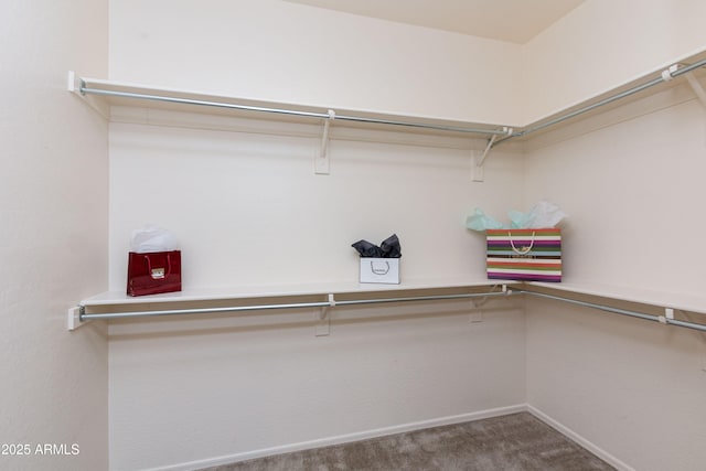 spacious closet with carpet floors