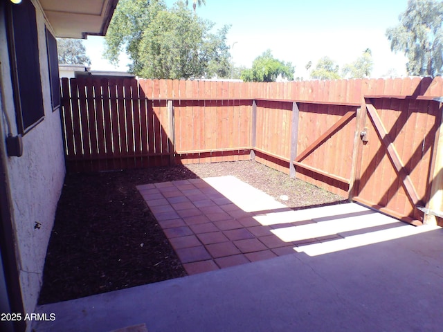 view of yard featuring a patio area and a fenced backyard