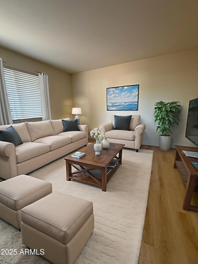 720 S Dobson Rd Unit 95, Mesa, AZ 85202 - living area featuring light wood finished floors