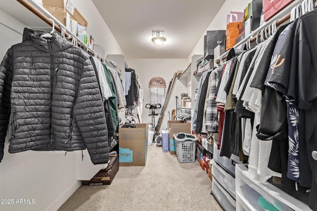 walk in closet featuring carpet