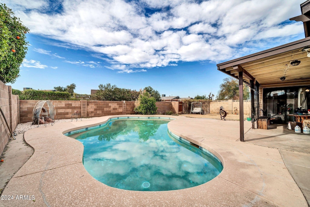 view of pool featuring a patio