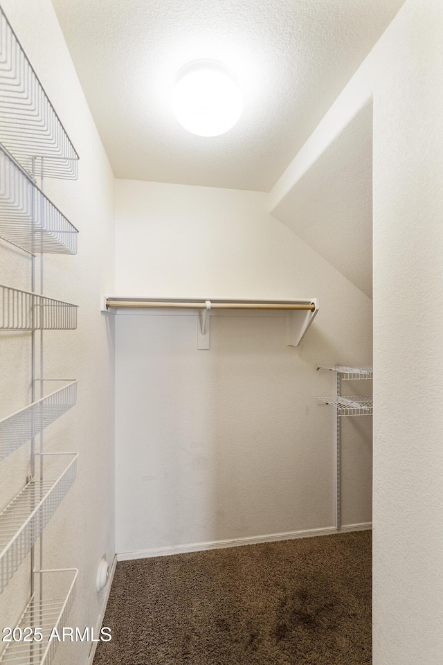 walk in closet featuring carpet flooring