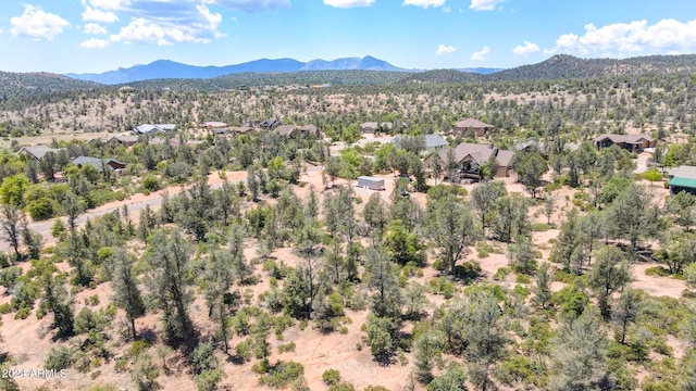 drone / aerial view featuring a mountain view