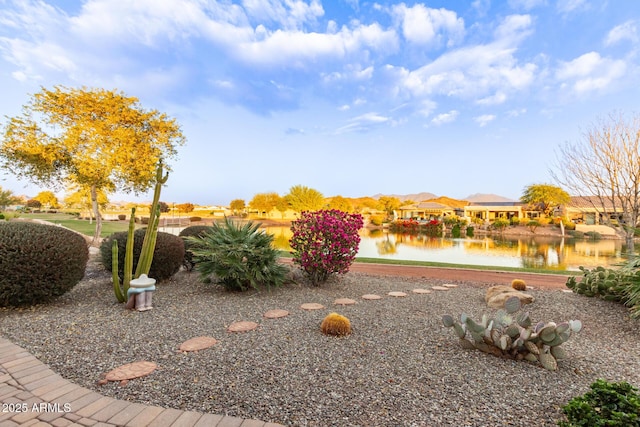 view of yard with a water view