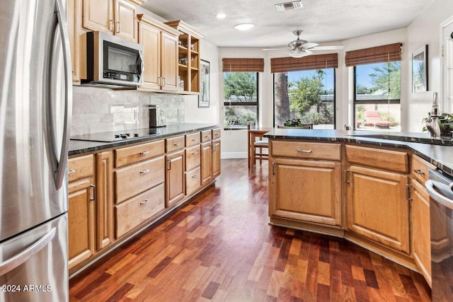 kitchen with a wealth of natural light, sink, appliances with stainless steel finishes, and dark hardwood / wood-style floors