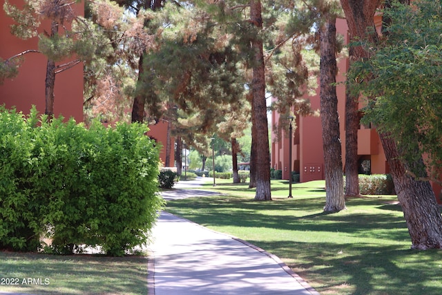 view of property's community with a yard