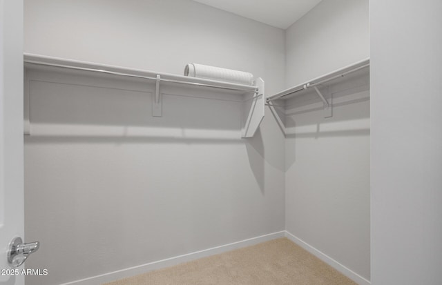 13512 W Copperleaf Ln, Peoria, AZ 85383 - walk in closet featuring carpet
