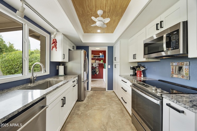 kitchen featuring white cabinetry, a sink, stainless steel appliances, and a tray ceiling