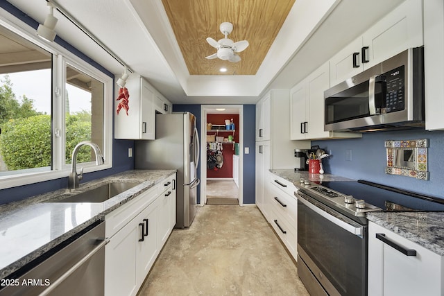 kitchen featuring white cabinetry, a raised ceiling, a sink, and stainless steel appliances