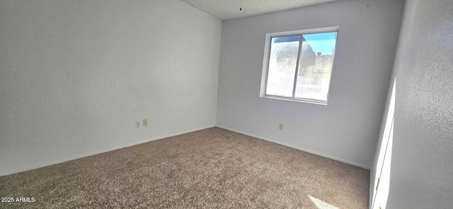 unfurnished room with carpet and a textured ceiling