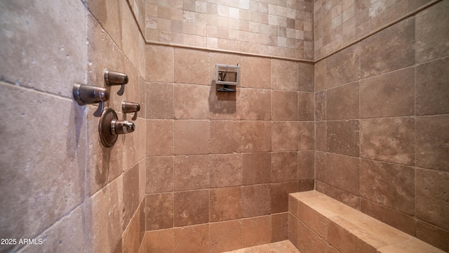 interior details with tiled shower