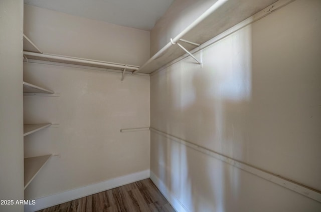 walk in closet featuring wood finished floors