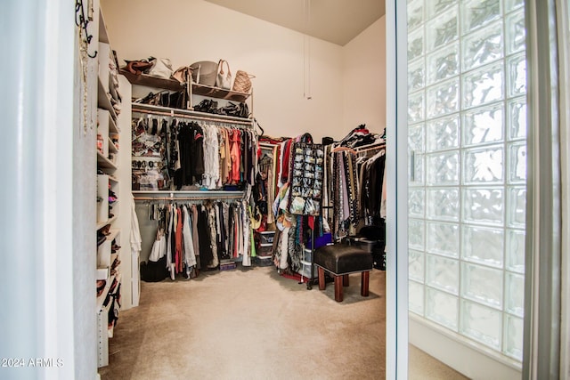 spacious closet featuring carpet floors