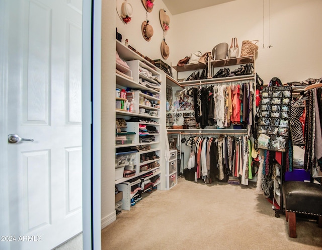 spacious closet featuring carpet floors