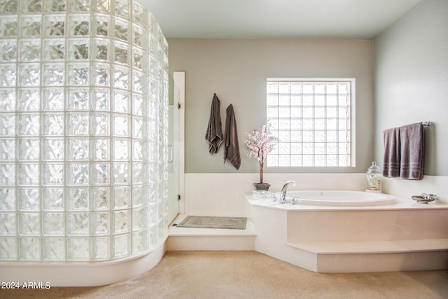 bathroom with a bathtub