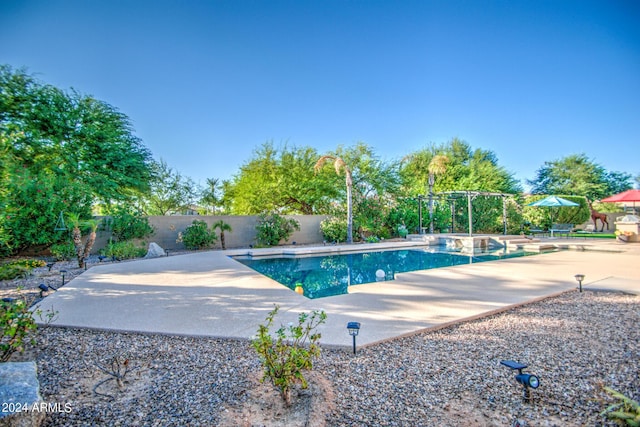 view of swimming pool with a patio