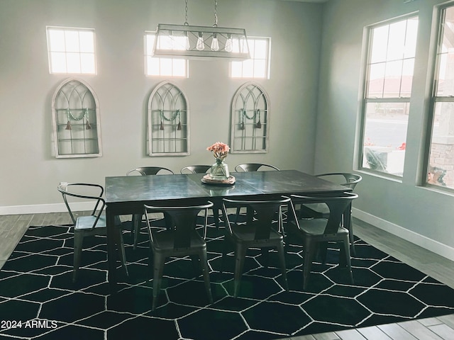 dining room with wood-type flooring