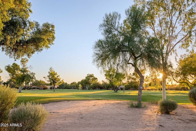 view of property's community with a lawn