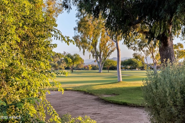 view of home's community featuring a lawn