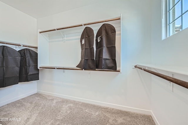 3340 S Lotus Ave, Mesa, AZ 85212 - walk in closet with carpet flooring