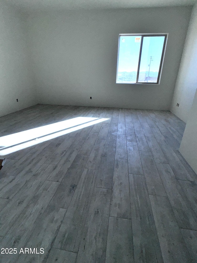 spare room featuring wood finished floors