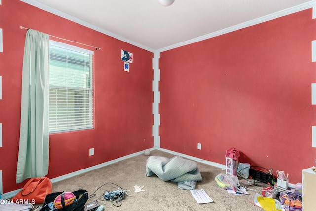 spare room featuring crown molding and carpet floors