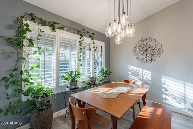 dining area with wood-type flooring