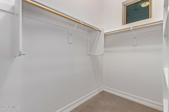 2027 E Ln Costa Ct, Gilbert, AZ 85298 - walk in closet featuring carpet flooring