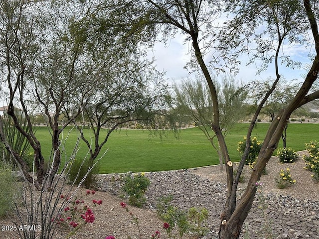 view of home's community with a lawn