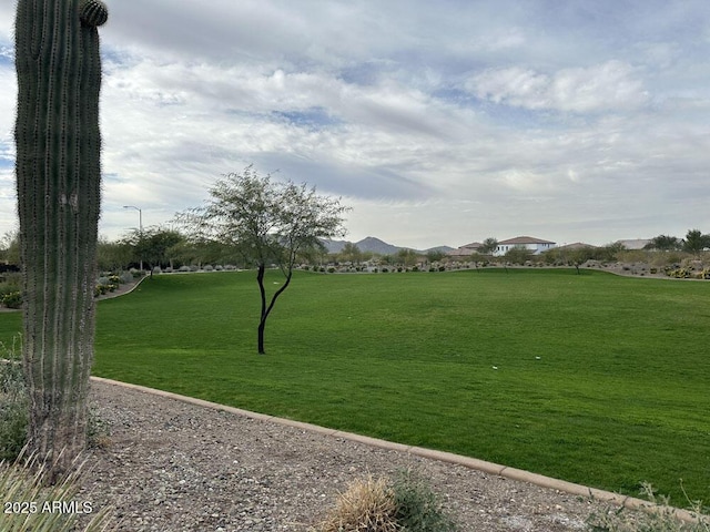 view of community with a mountain view and a lawn