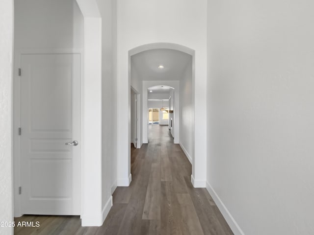 hall featuring dark hardwood / wood-style floors