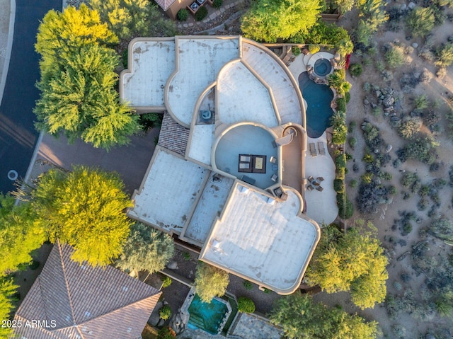 bird's eye view