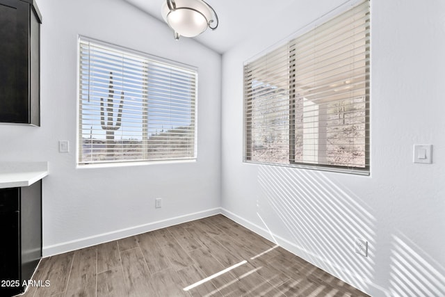 spare room featuring wood-type flooring