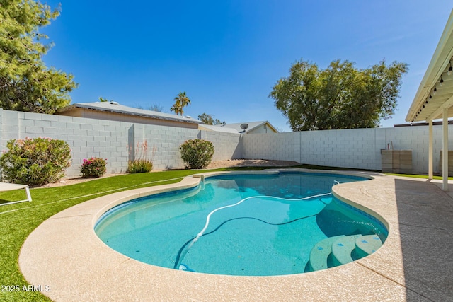 view of pool featuring a fenced in pool and a fenced backyard