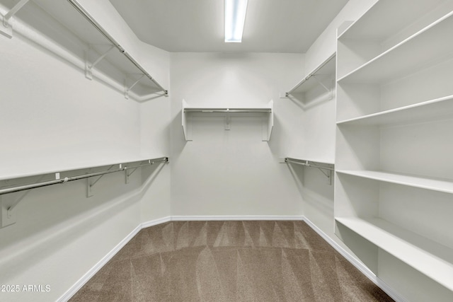 spacious closet with carpet