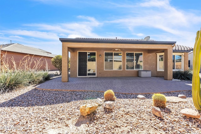 back of house featuring ceiling fan, a patio, and stucco siding