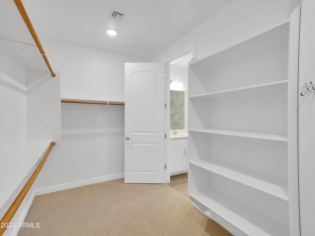 spacious closet with light carpet