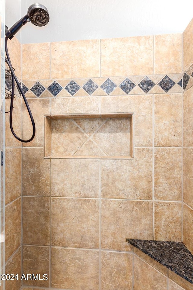 36382 N 35th St, Cave Creek, AZ 85331 - interior details with a tile shower